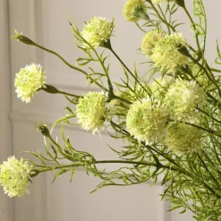 Tige de Chrysanthème Ping Pong 78 cm