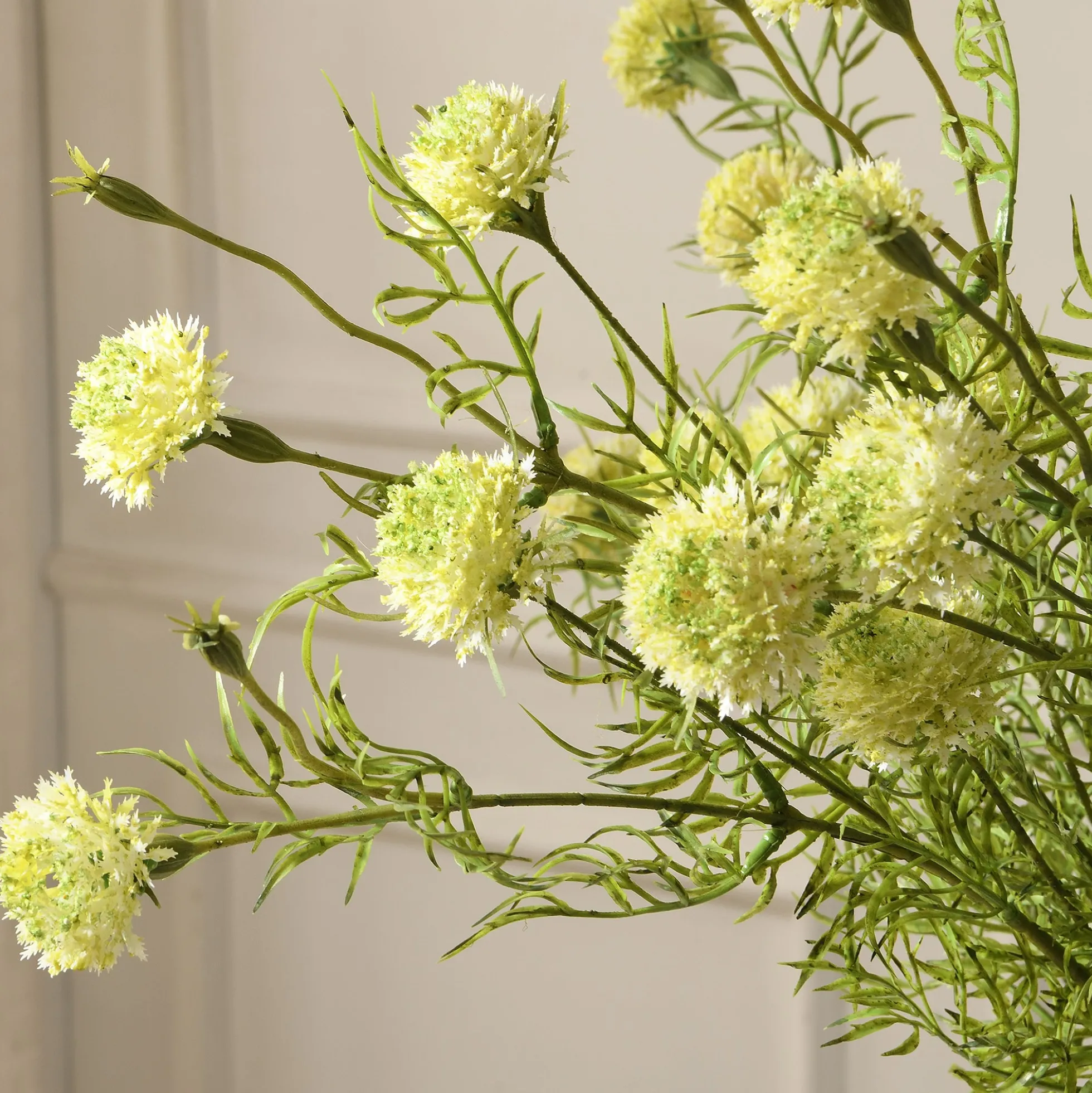 Tige de Chrysanthème Ping Pong 78 cm