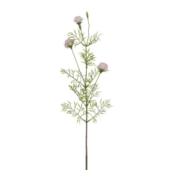 Tige de Chrysanthème Ping Pong 78 cm