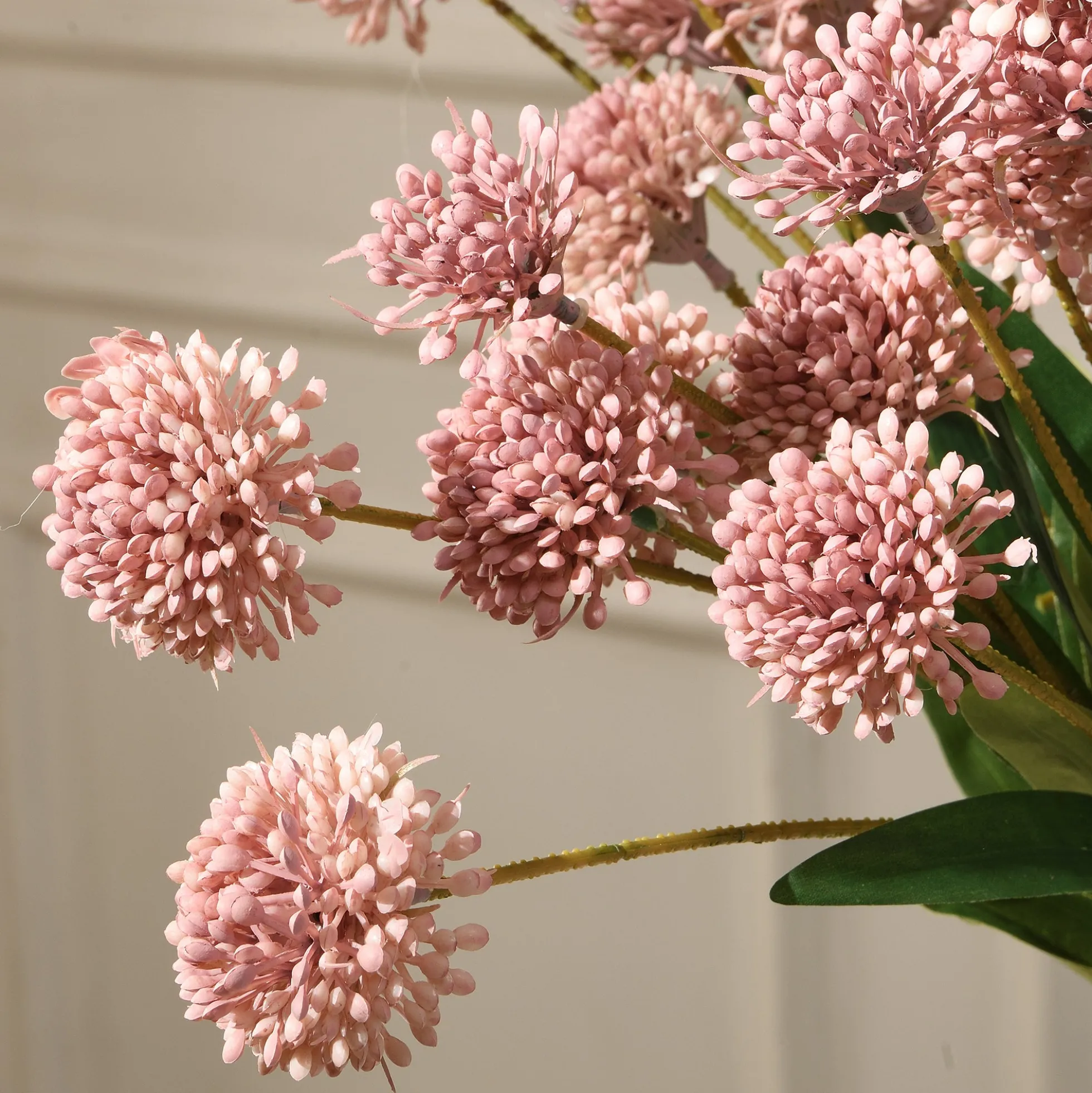 Tige de Chrysanthème Ping Pong 60 cm