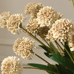 Tige de Chrysanthème Ping Pong 60 cm