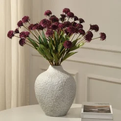 Tige de Chrysanthème Ping Pong 60 cm