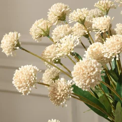 Tige de Chrysanthème Ping Pong 60 cm