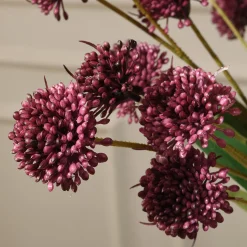 Tige de Chrysanthème Ping Pong 60 cm