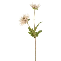 Tige de Chrysanthème Tokyo