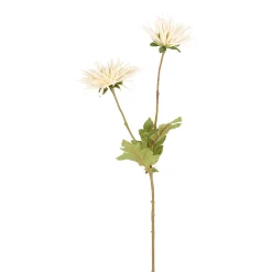 Tige de Chrysanthème Tokyo