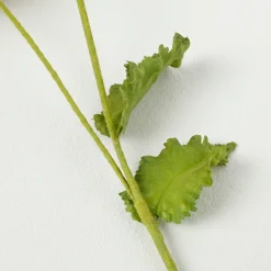 Tige de Coquelicot Pipa