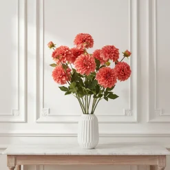 Tige de Dahlia Andreas