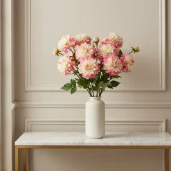 Tige de Dahlia Andreas
