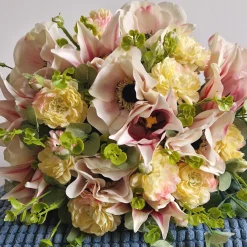 Tige de Dahlia Andreas