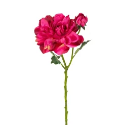 Tige de Dahlia avec bourgeon