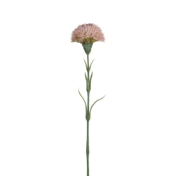 Tige de Dahlia 58 cm