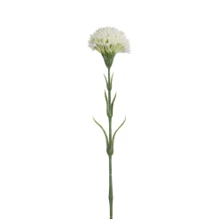 Tige de Dahlia 58 cm