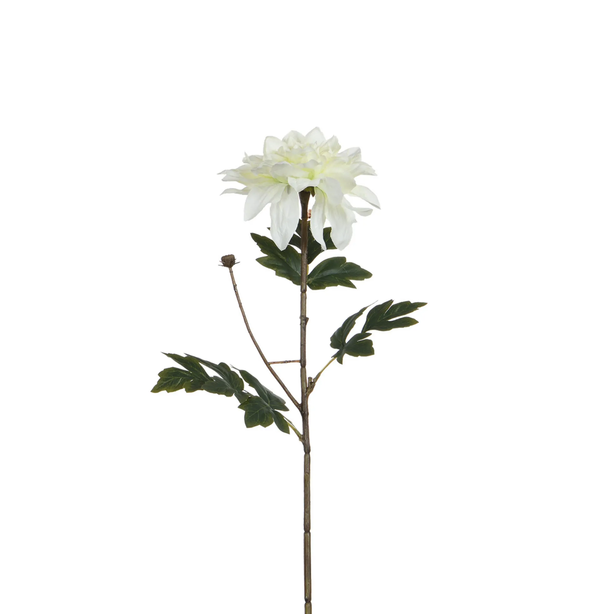 Tige de Dahlia 65 cm
