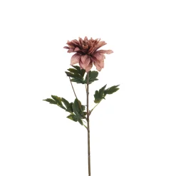 Tige de Dahlia 65 cm