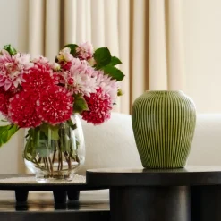 Tige de Dahlia Estiva