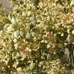 Tige de fleurs 64 cm