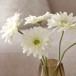 Tige de Gerbera
