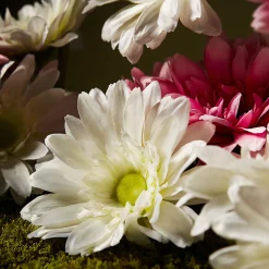 Tige de Gerbera
