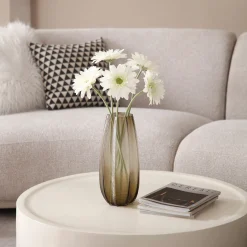 Tige de Gerbera