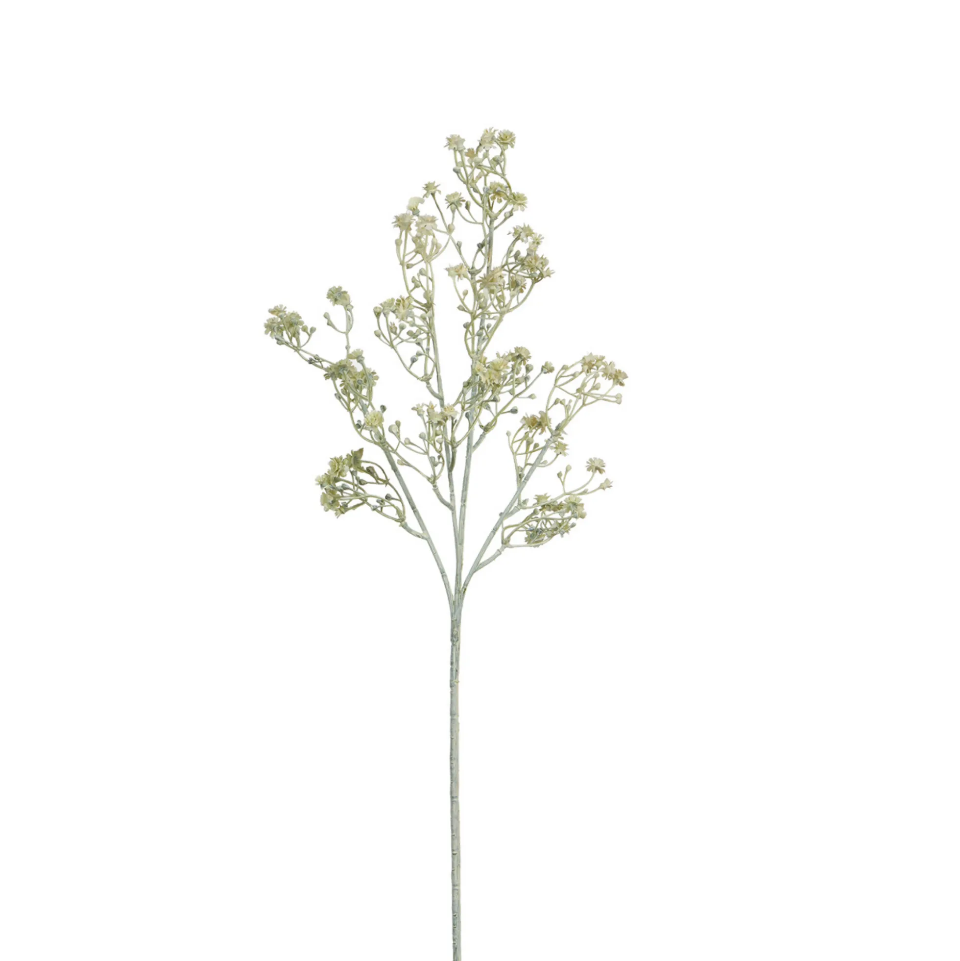 Tige de Gypsophile 59 cm