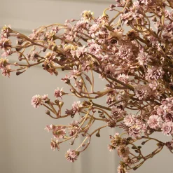 Tige de Gypsophile 59 cm