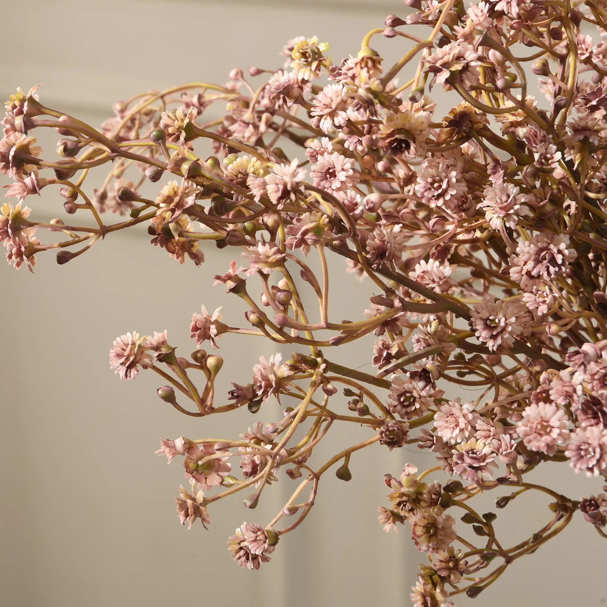 Tige de Gypsophile 59 cm