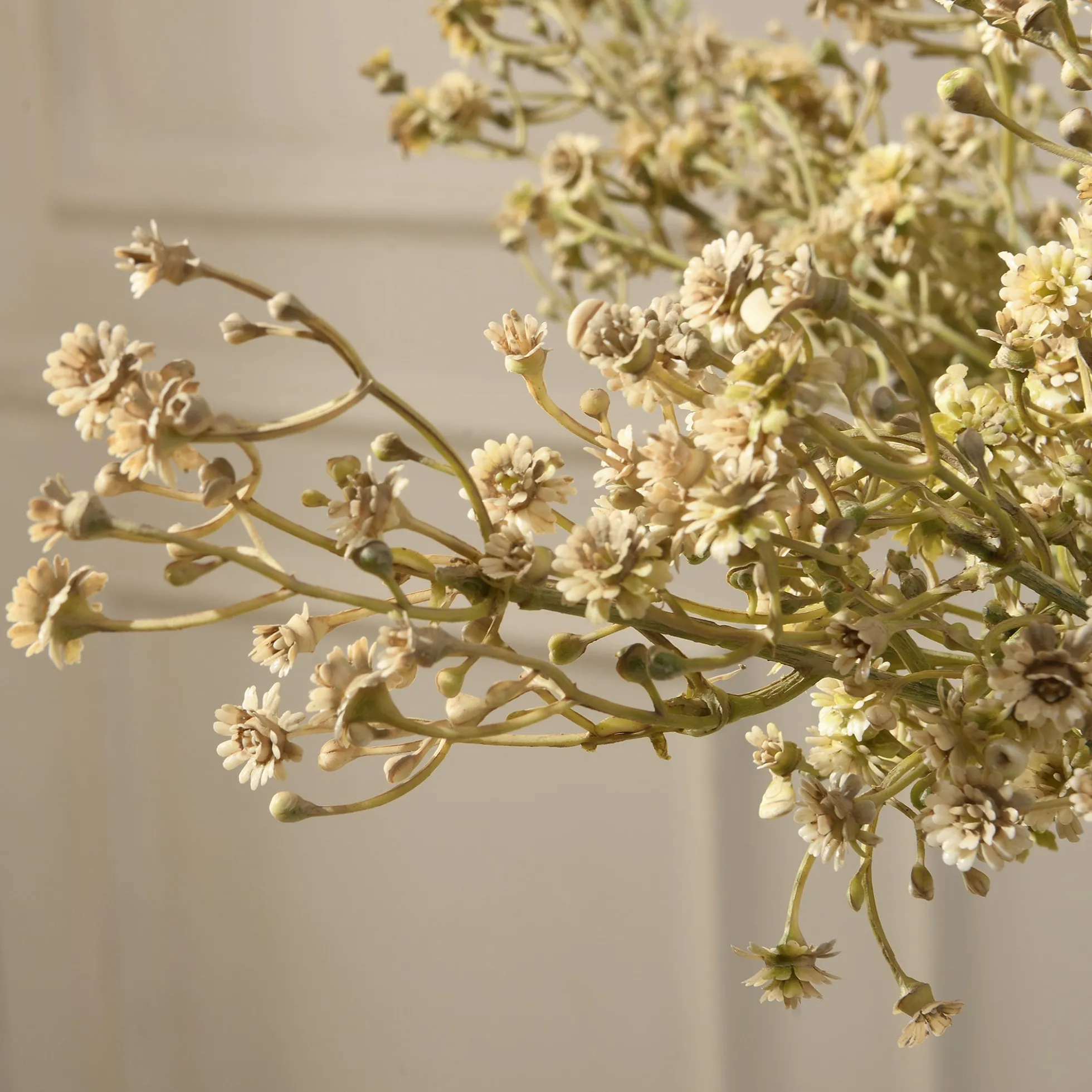 Tige de Gypsophile 59 cm