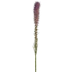 Tige de Liatris pailletée