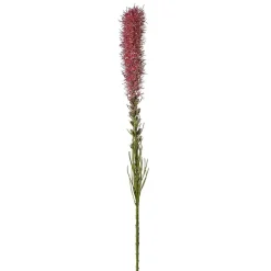 Tige de Liatris pailletée