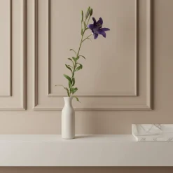 Tige de Lily Rubrum Elsa