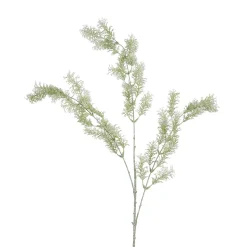 Tige de Ming Fern 93 cm