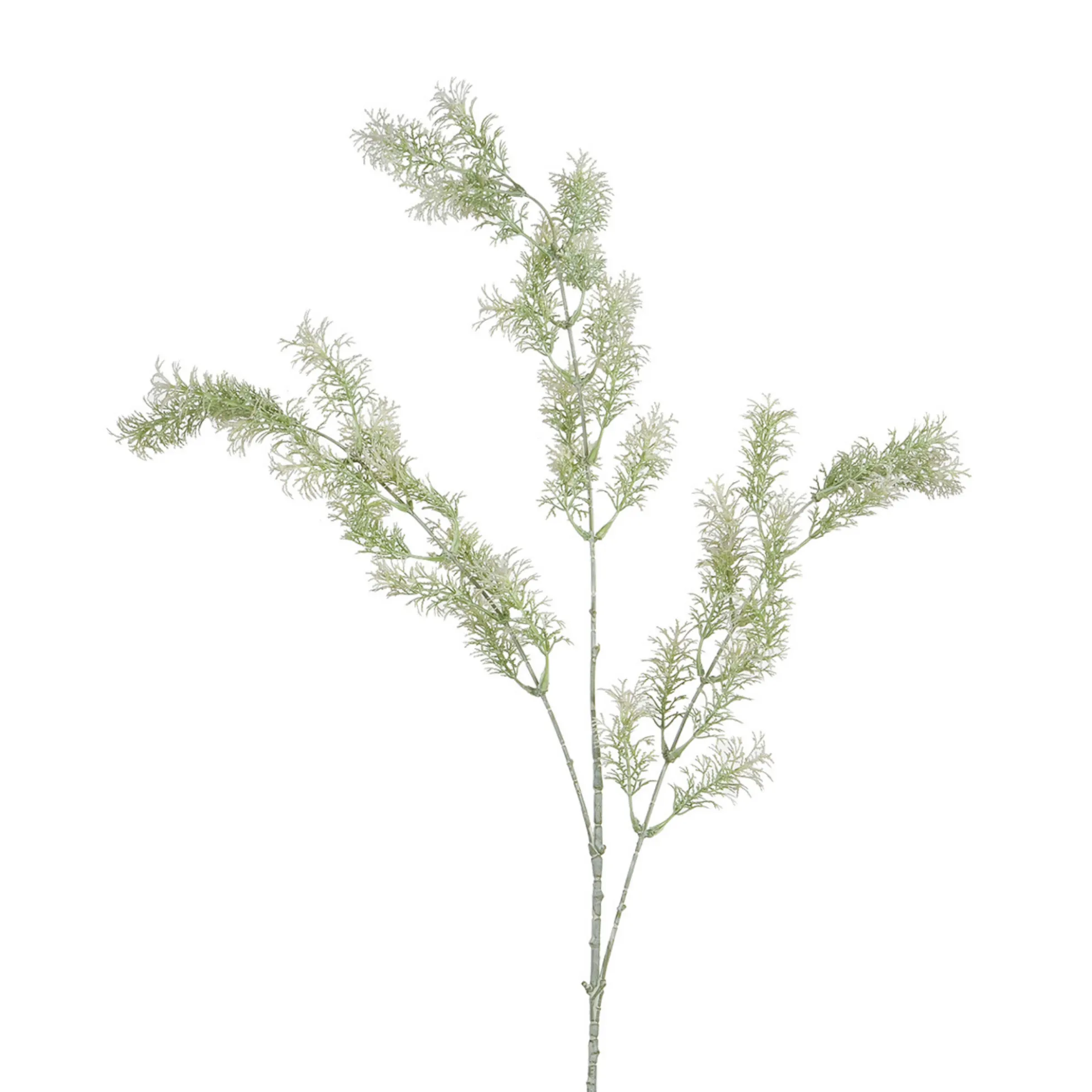Tige de Ming Fern 93 cm