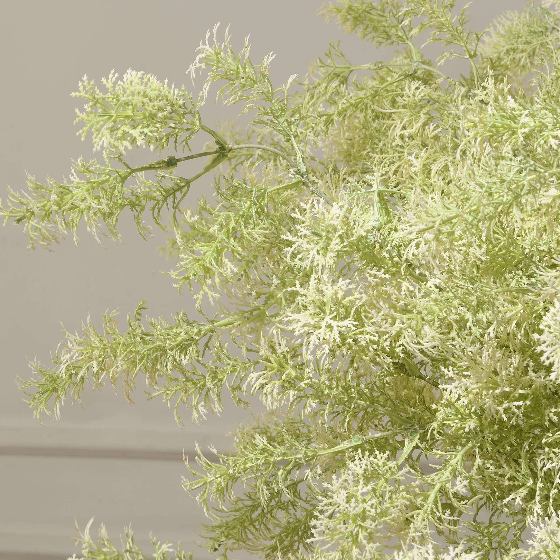 Tige de Ming Fern 93 cm