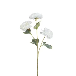 Tige de Pivoine 85 cm