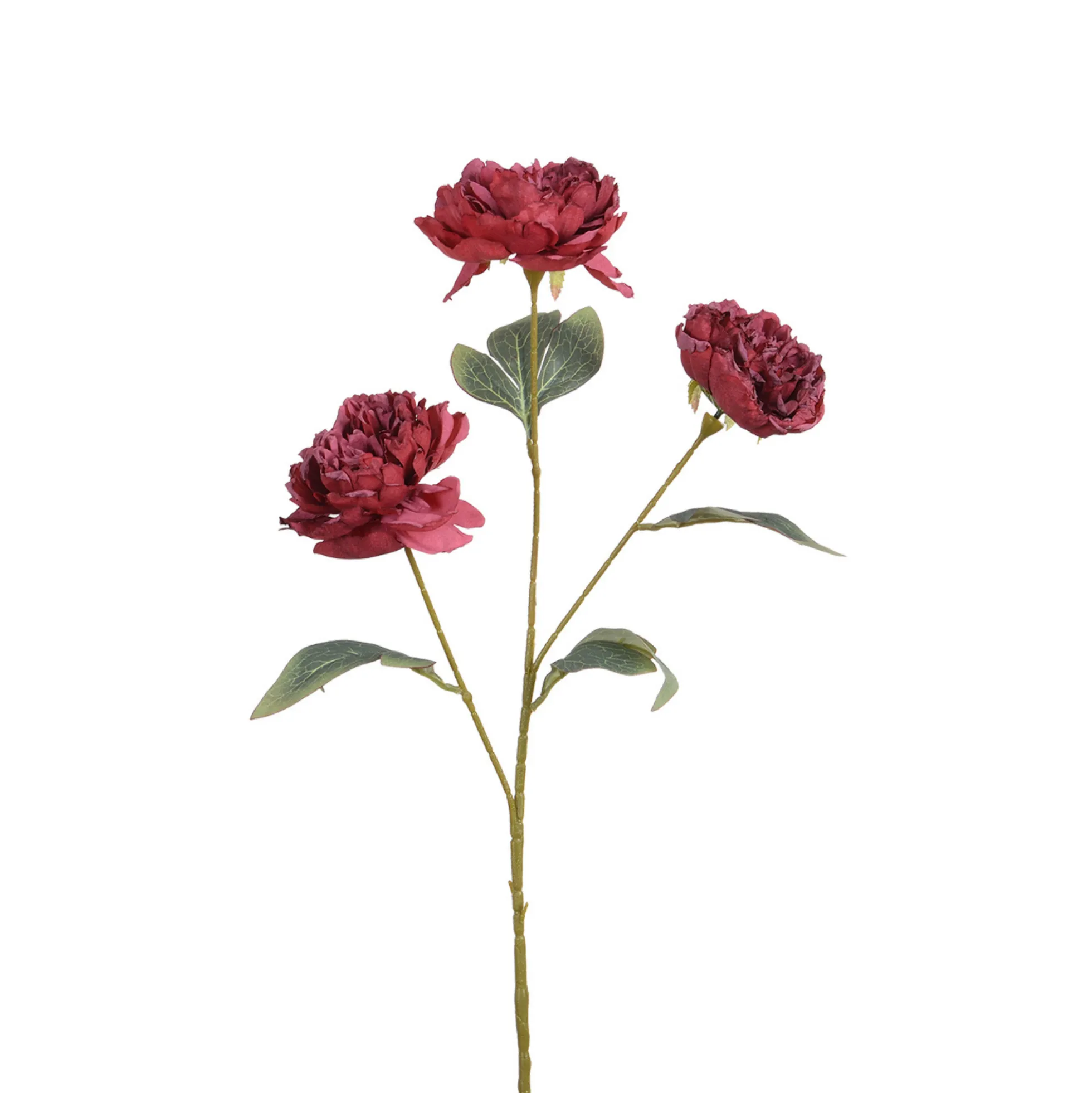 Tige de Pivoine 85 cm