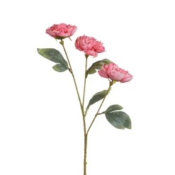 Tige de Pivoine 85 cm
