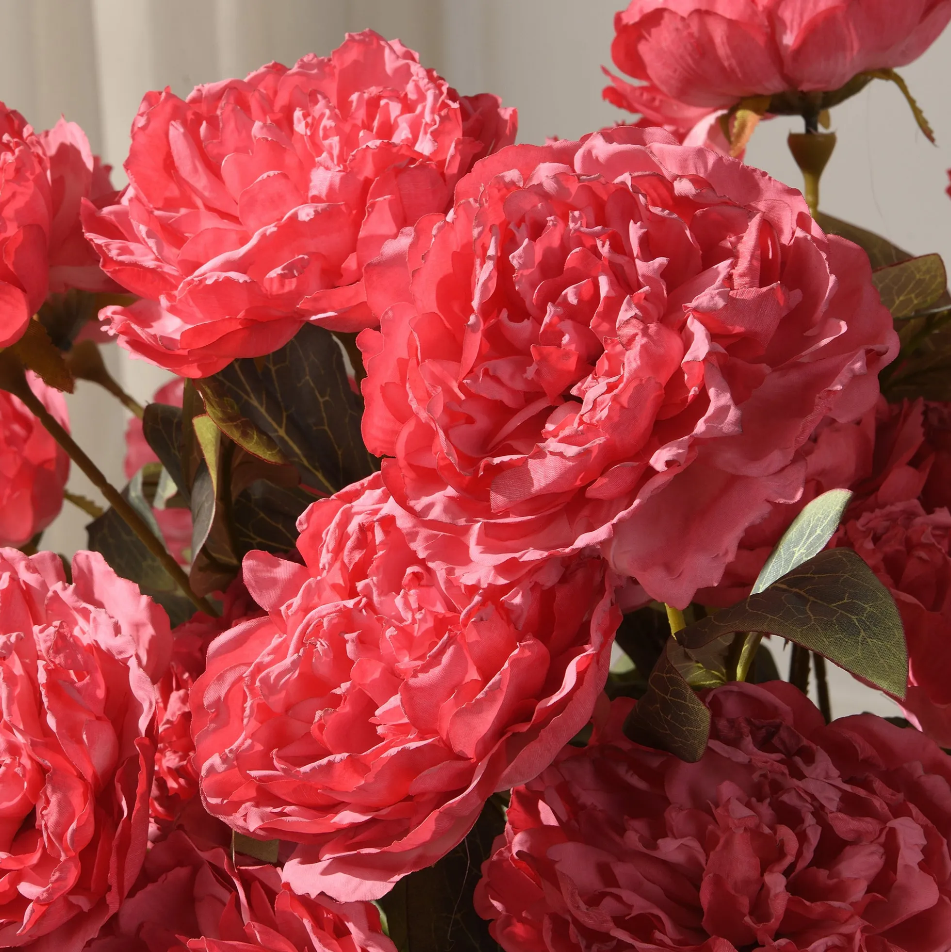 Tige de Pivoine 85 cm