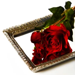 Tige de Rose Avec Bourgeon