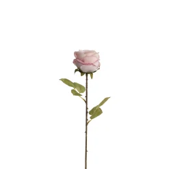Tige de Rose 56 cm