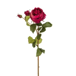 Tige de Rose David fermée