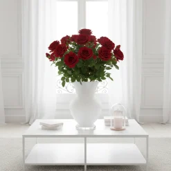 Tige de Rose David ouverte