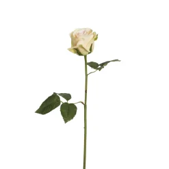 Tige de Rose Diane