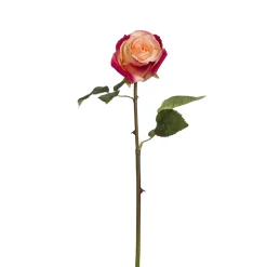 Tige de Rose Diane