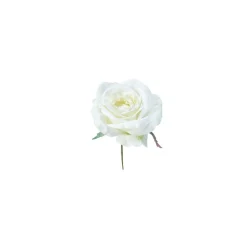 Tige de Rose à piquer