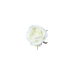 Tige de Rose à piquer