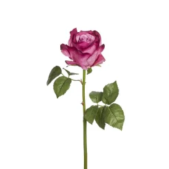 Tige de Rose Sarah