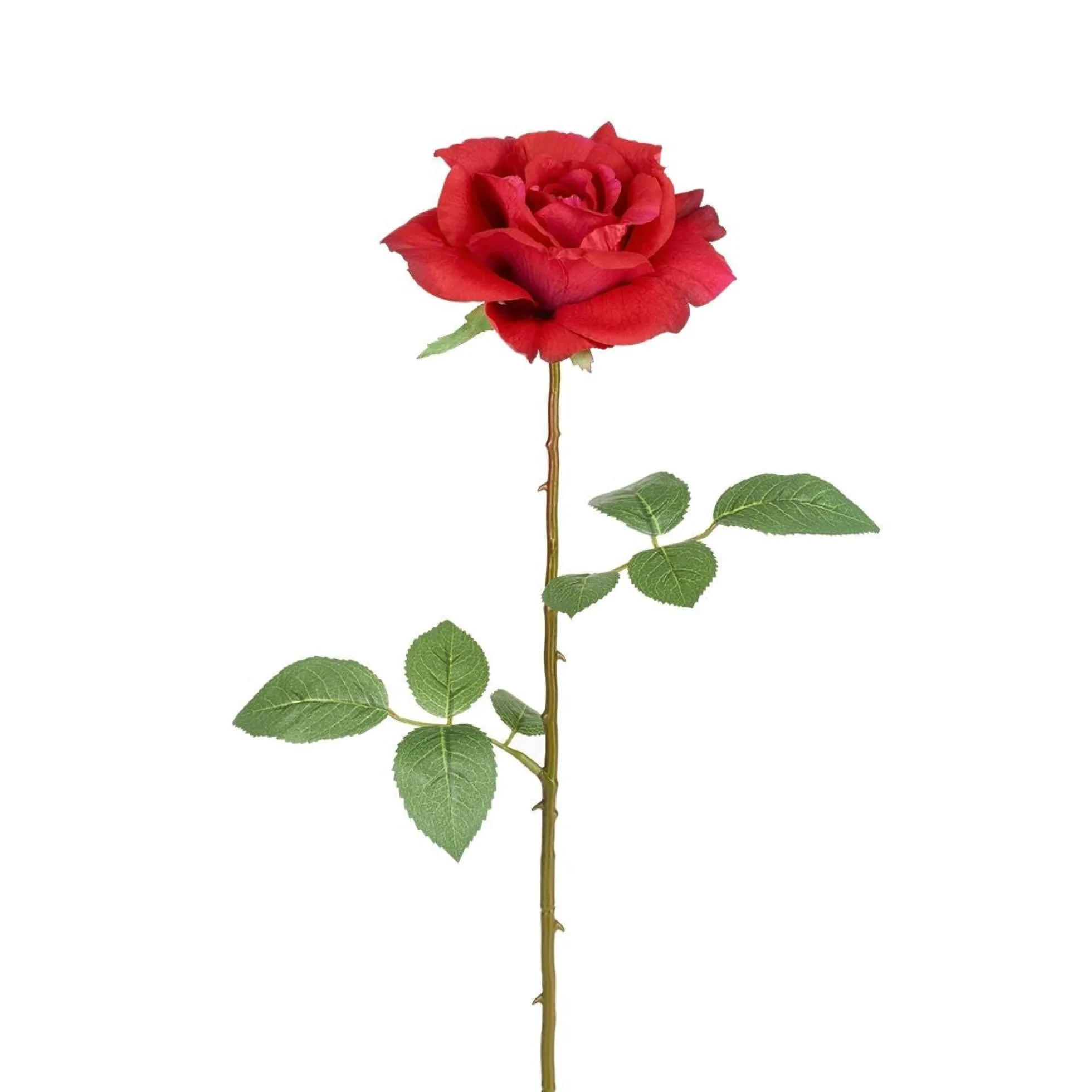 Tige de Rose Sophie fermée