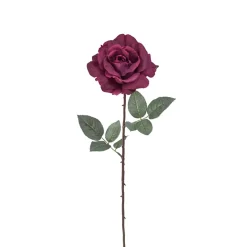 Tige de Rose Sophie fermée