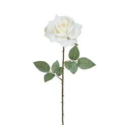 Tige de Rose Sophie fermée